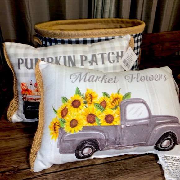 Other - 2 New accent pillows